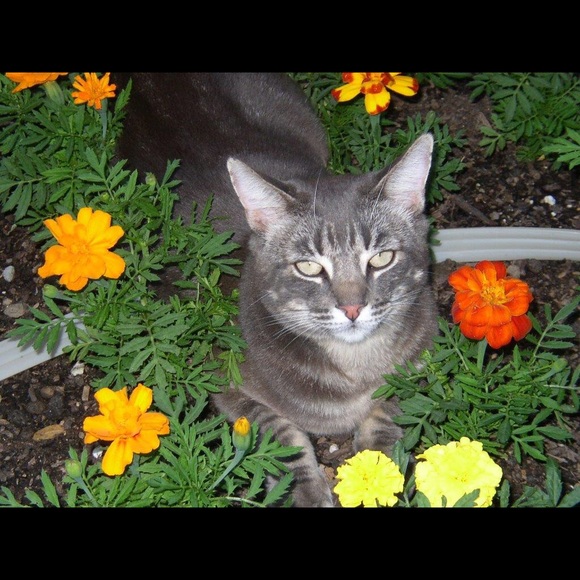 Meet your Posher, Debbie - Picture 1 of 1